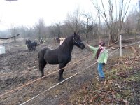 Obraz 08